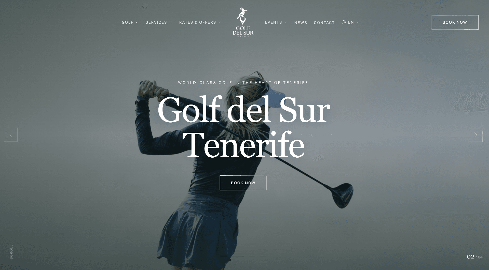 Capture d'écran du site